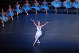 1811.jpg